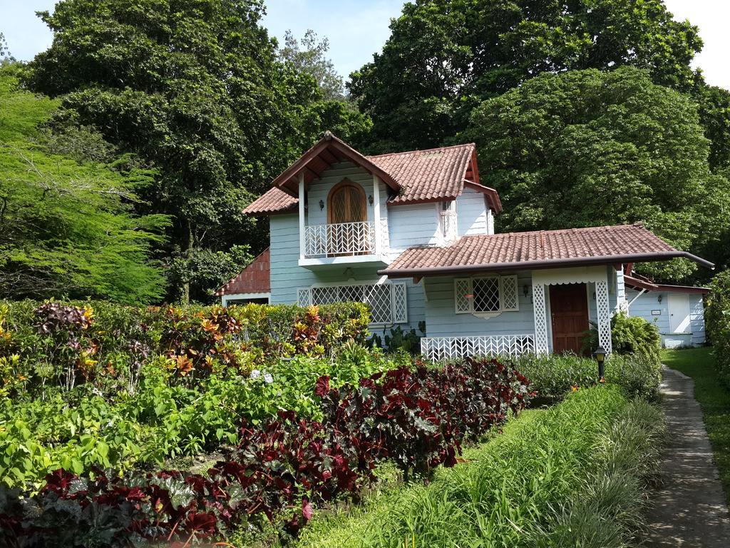 Park Eden Bed & Breakfast Los Llanitos 객실 사진