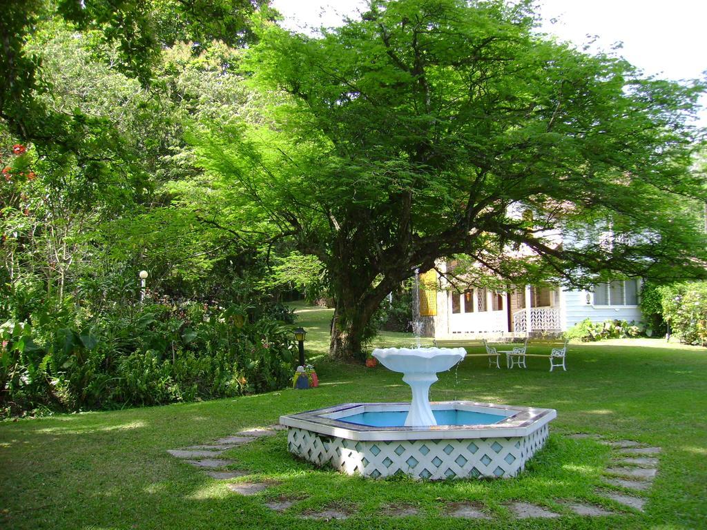 Park Eden Bed & Breakfast Los Llanitos 외부 사진