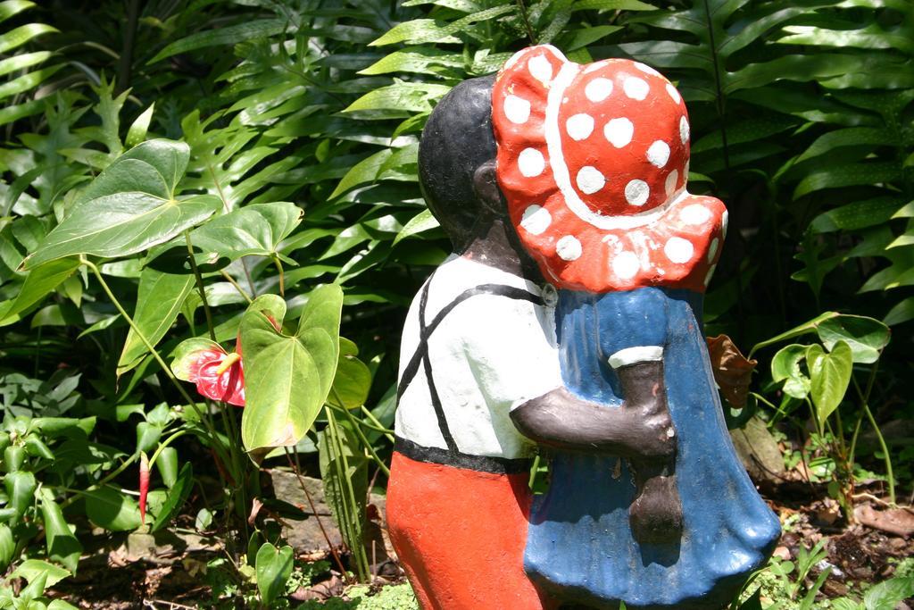 Park Eden Bed & Breakfast Los Llanitos 객실 사진